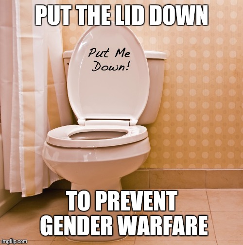 PUT THE LID DOWN TO PREVENT GENDER WARFARE | made w/ Imgflip meme maker