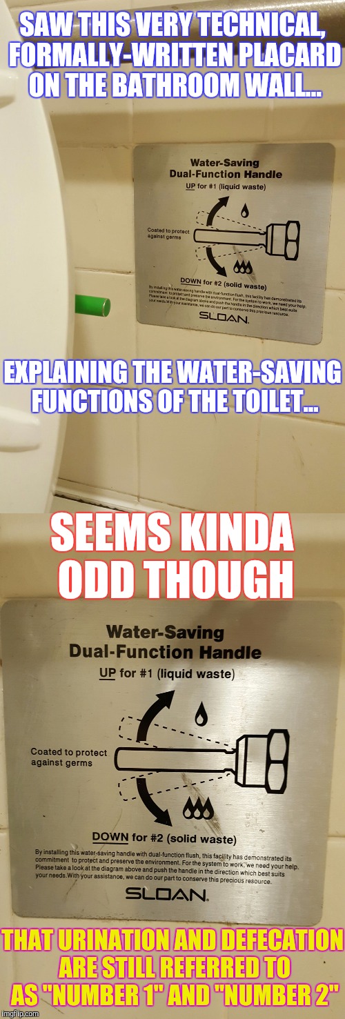 Sometimes a sophomoric euphemism seems like the most appropriate choice of words... | SAW THIS VERY TECHNICAL, FORMALLY-WRITTEN PLACARD ON THE BATHROOM WALL... EXPLAINING THE WATER-SAVING FUNCTIONS OF THE TOILET... SEEMS KINDA ODD THOUGH; THAT URINATION AND DEFECATION ARE STILL REFERRED TO AS "NUMBER 1" AND "NUMBER 2" | image tagged in memes,toilet humor,funny,pee-pee time,phunny | made w/ Imgflip meme maker