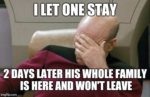 Captain Picard Facepalm Meme | I LET ONE STAY 2 DAYS LATER HIS WHOLE FAMILY IS HERE AND WON'T LEAVE | image tagged in memes,captain picard facepalm | made w/ Imgflip meme maker