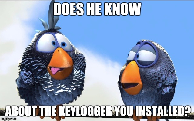 DOES HE KNOW ABOUT THE KEYLOGGER YOU INSTALLED? | image tagged in blue birds | made w/ Imgflip meme maker
