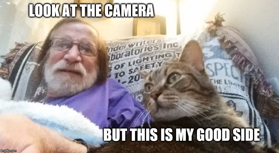 This is my good side | LOOK AT THE CAMERA; BUT THIS IS MY GOOD SIDE | image tagged in my good side,cat meme,funny cat memes | made w/ Imgflip meme maker