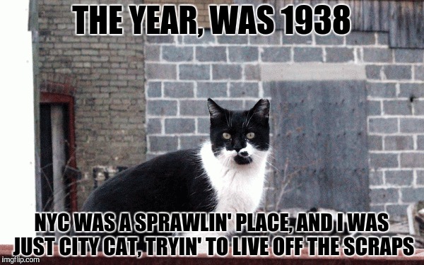 THE YEAR, WAS 1938 NYC WAS A SPRAWLIN' PLACE, AND I WAS JUST CITY CAT, TRYIN' TO LIVE OFF THE SCRAPS | made w/ Imgflip meme maker