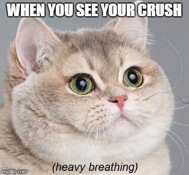 Heavy Breathing Cat | WHEN YOU SEE YOUR CRUSH | image tagged in memes,heavy breathing cat | made w/ Imgflip meme maker