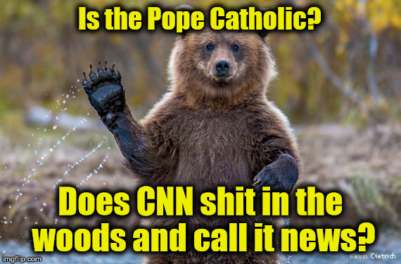 Is CNN Fake News? | Is the Pope Catholic? Does CNN shit in the woods and call it news? | image tagged in bears,cnn fake news,cnn sucks,stupid liberals | made w/ Imgflip meme maker