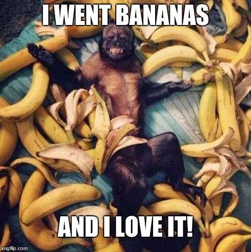 monkey bananas | I WENT BANANAS; AND I LOVE IT! | image tagged in monkey bananas | made w/ Imgflip meme maker