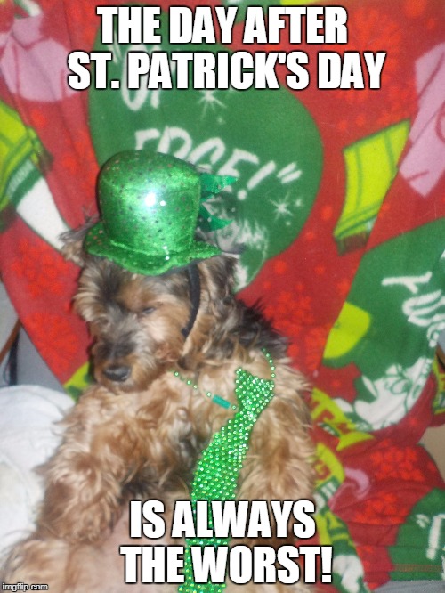 Trashed mickey | THE DAY AFTER ST. PATRICK'S DAY; IS ALWAYS THE WORST! | image tagged in st patrick's day,dog,drunk dog,green party,party time | made w/ Imgflip meme maker