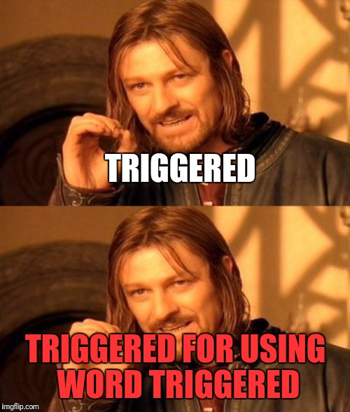 TRIGGERED TRIGGERED FOR USING WORD TRIGGERED | made w/ Imgflip meme maker