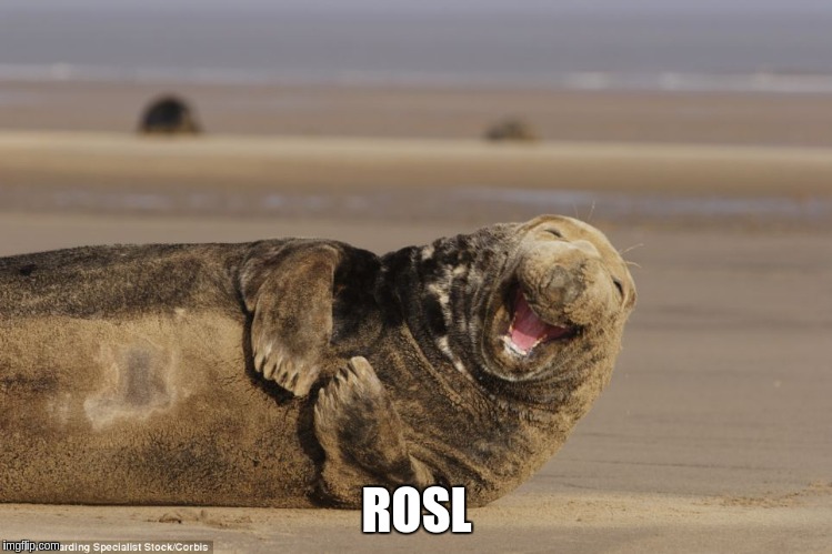 ROSL | made w/ Imgflip meme maker