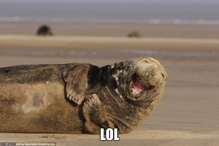 LOL | made w/ Imgflip meme maker
