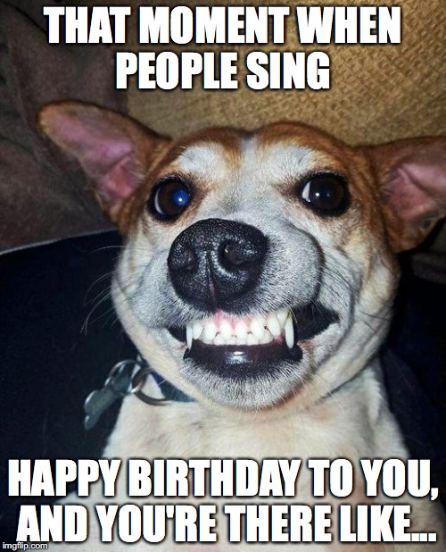 THAT MOMENT WHEN PEOPLE SING; HAPPY BIRTHDAY TO YOU, AND YOU'RE THERE LIKE... | made w/ Imgflip meme maker