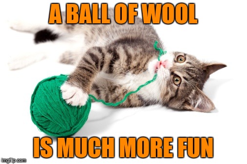 A BALL OF WOOL IS MUCH MORE FUN | made w/ Imgflip meme maker