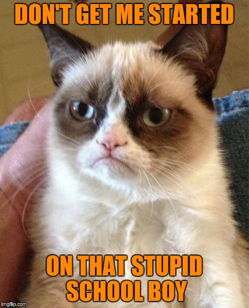 Grumpy Cat Meme | DON'T GET ME STARTED ON THAT STUPID SCHOOL BOY | image tagged in memes,grumpy cat | made w/ Imgflip meme maker