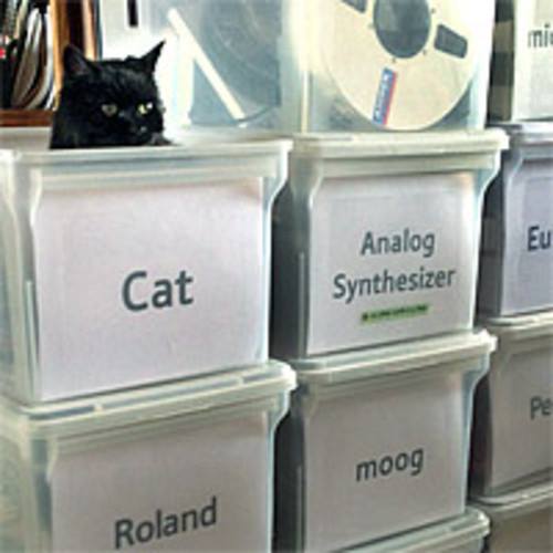 Organized Cat Blank Meme Template