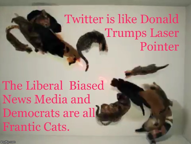image tagged in trump twitter laser pointer democrat media cats | made w/ Imgflip meme maker