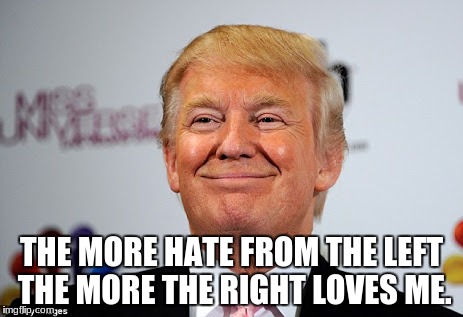 Donald trump approves | THE MORE HATE FROM THE LEFT THE MORE THE RIGHT LOVES ME. | image tagged in donald trump approves | made w/ Imgflip meme maker