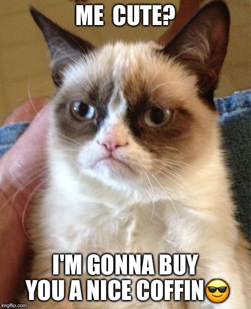Grumpy Cat Meme | ME  CUTE? I'M GONNA BUY YOU A NICE COFFIN😎 | image tagged in memes,grumpy cat | made w/ Imgflip meme maker