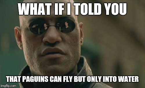 Matrix Morpheus Meme | WHAT IF I TOLD YOU; THAT PAGUINS CAN FLY BUT ONLY INTO WATER | image tagged in memes,matrix morpheus | made w/ Imgflip meme maker