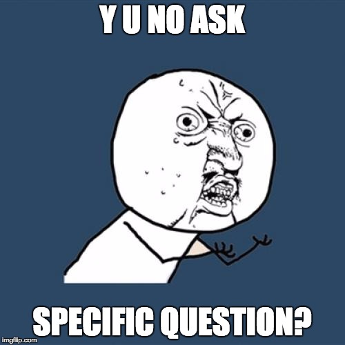 Y U No Meme | Y U NO ASK SPECIFIC QUESTION? | image tagged in memes,y u no | made w/ Imgflip meme maker