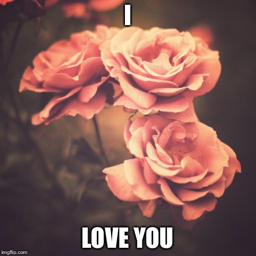 Beautiful Vintage Flowers | I; LOVE YOU | image tagged in beautiful vintage flowers | made w/ Imgflip meme maker