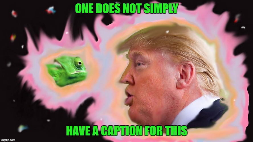 Double Headed Chameleon Nebula | ONE DOES NOT SIMPLY; HAVE A CAPTION FOR THIS | image tagged in trump | made w/ Imgflip meme maker