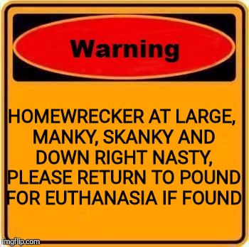 Warning  | HOMEWRECKER AT LARGE, MANKY, SKANKY AND DOWN RIGHT NASTY, PLEASE RETURN TO POUND FOR EUTHANASIA IF FOUND | image tagged in warning,skank | made w/ Imgflip meme maker