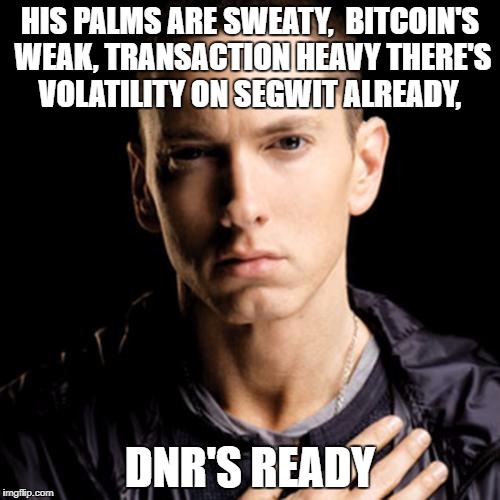 Eminem Meme | HIS PALMS ARE SWEATY, 
BITCOIN'S WEAK, TRANSACTION HEAVY
THERE'S VOLATILITY ON SEGWIT ALREADY, DNR'S READY | image tagged in memes,eminem | made w/ Imgflip meme maker