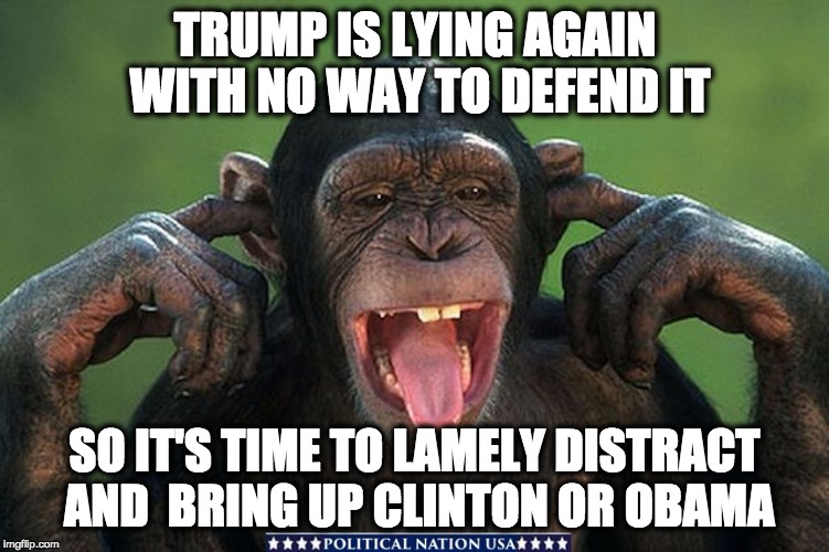TRUMP IS LYING AGAIN WITH NO WAY TO DEFEND IT; SO IT'S TIME TO LAMELY DISTRACT AND  BRING UP CLINTON OR OBAMA | image tagged in dump trump,dumptrump,dump the trump,never trump,nevertrump meme,nevertrump | made w/ Imgflip meme maker