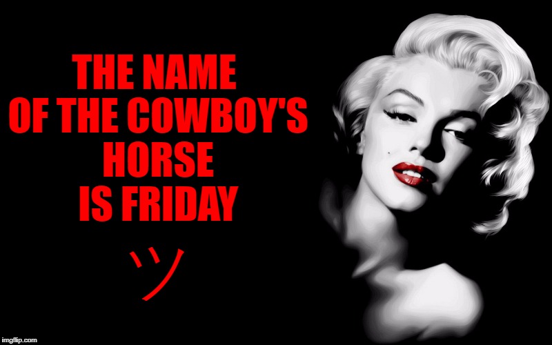THE NAME OF THE COWBOY'S HORSE IS FRIDAY ツ | made w/ Imgflip meme maker