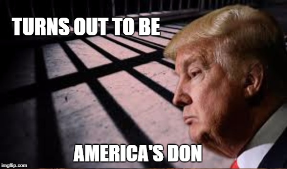 Racketeer Extraordinaire | TURNS OUT TO BE; AMERICA'S DON | image tagged in trump,mafia,raketeer | made w/ Imgflip meme maker