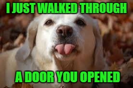 I JUST WALKED THROUGH A DOOR YOU OPENED | made w/ Imgflip meme maker