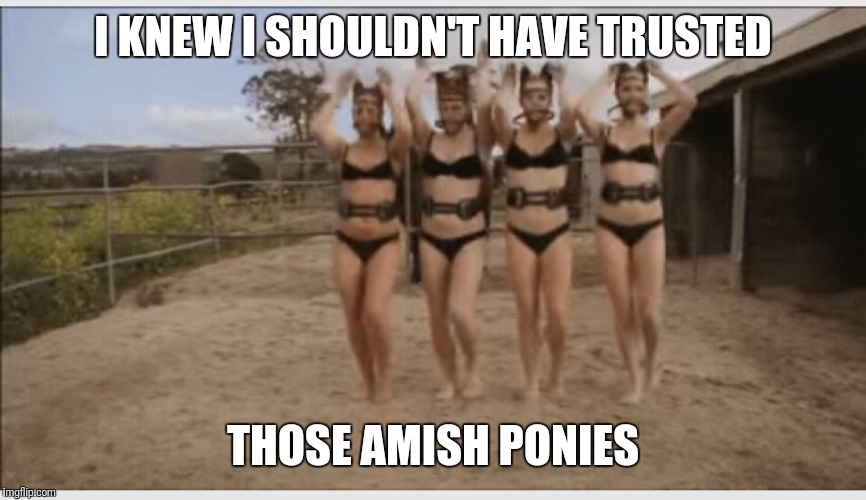 I KNEW I SHOULDN'T HAVE TRUSTED; THOSE AMISH PONIES | made w/ Imgflip meme maker