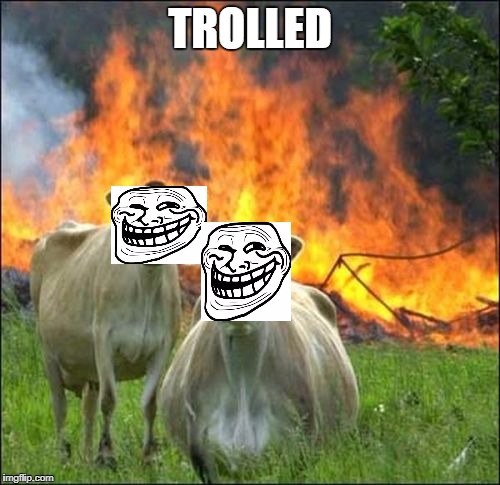 Evil Cows Meme | TROLLED | image tagged in memes,evil cows | made w/ Imgflip meme maker