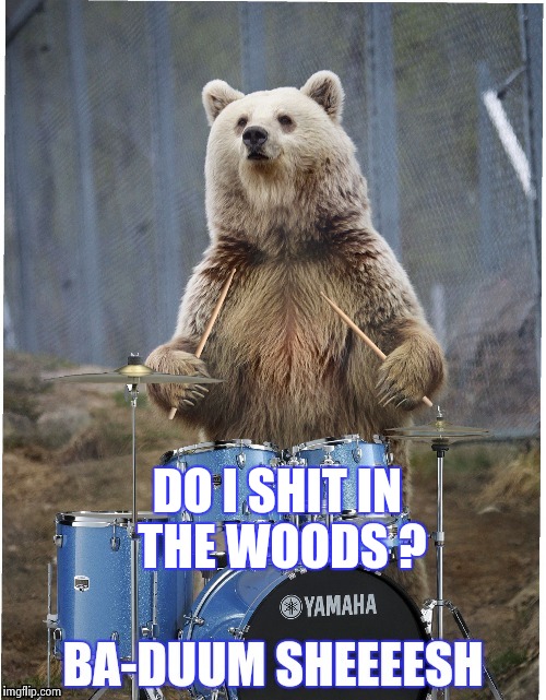 DO I SHIT IN THE WOODS ? | image tagged in drummer bear | made w/ Imgflip meme maker