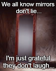 Mirrors don't lie... | We all know mirrors don't lie... I'm just grateful they don't laugh... | image tagged in mirrors,don't,lie,laugh | made w/ Imgflip meme maker