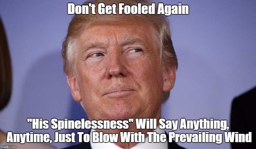 "Don't Get Fooled Again" | Don't Get Fooled Again "His Spinelessness" Will Say Anything, Anytime, Just To Blow With The Prevailing Wind | image tagged in devious donald,deplorable donald,despicable donald,despotic donald,dishonest donald,dishonorable donald | made w/ Imgflip meme maker