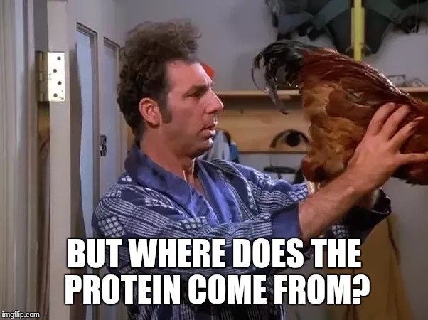 Chicken or the egg | BUT WHERE DOES THE PROTEIN COME FROM? | image tagged in memes,seinfeld | made w/ Imgflip meme maker