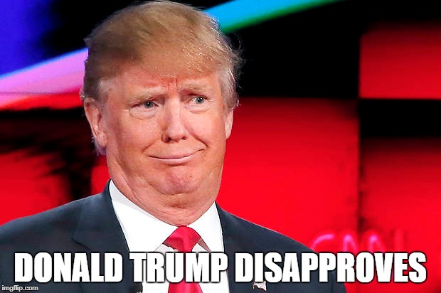 DONALD TRUMP DISAPPROVES | image tagged in trump | made w/ Imgflip meme maker