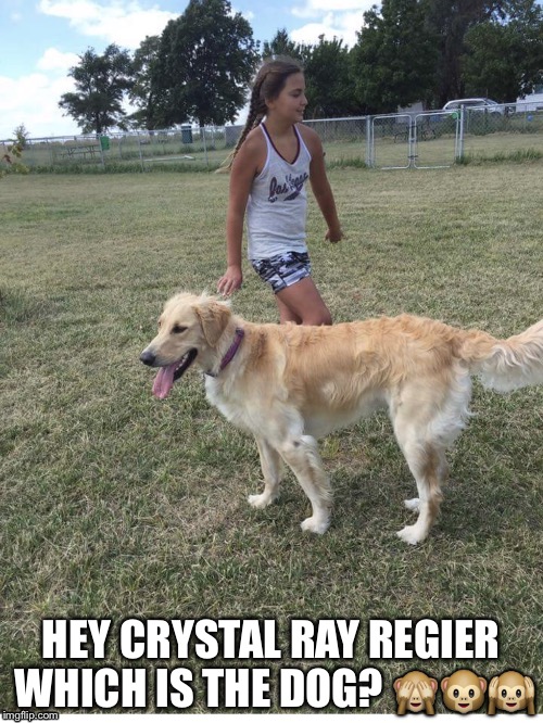 HEY CRYSTAL RAY REGIER WHICH IS THE DOG? 🙈🐵🙉 | image tagged in regier 3162175562 | made w/ Imgflip meme maker
