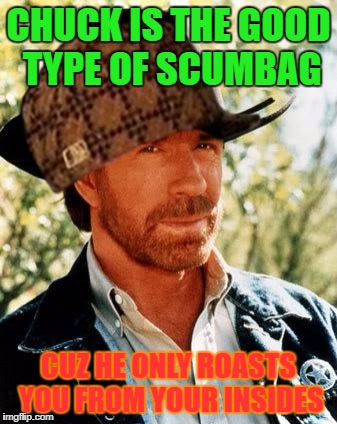 Chuck Norris Meme | CHUCK IS THE GOOD TYPE OF SCUMBAG; CUZ HE ONLY ROASTS YOU FROM YOUR INSIDES | image tagged in memes,chuck norris,scumbag | made w/ Imgflip meme maker