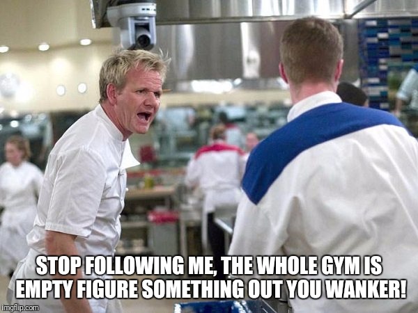 Ramsay gains | STOP FOLLOWING ME, THE WHOLE GYM IS EMPTY FIGURE SOMETHING OUT YOU WANKER! | image tagged in mems,chef gordon ramsay,gym | made w/ Imgflip meme maker