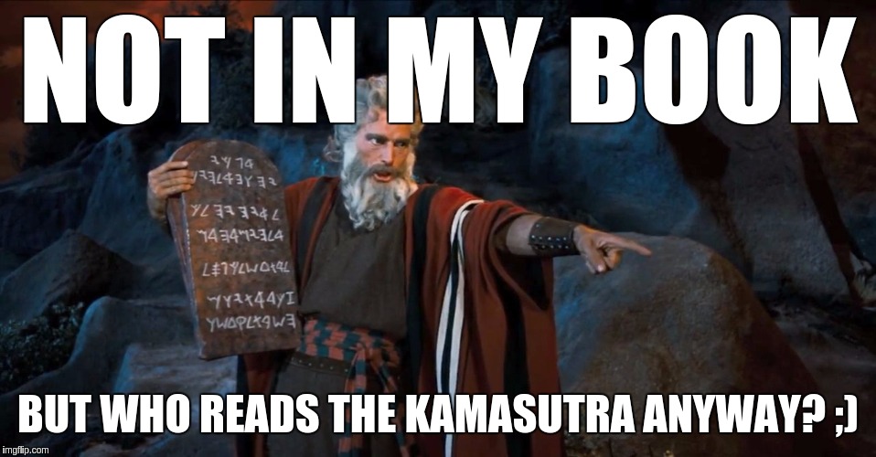 RTFM | NOT IN MY BOOK BUT WHO READS THE KAMASUTRA ANYWAY? ;) | image tagged in rtfm | made w/ Imgflip meme maker