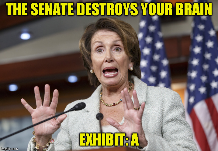 THE SENATE DESTROYS YOUR BRAIN; EXHIBIT: A | image tagged in nancy pelosi wtf | made w/ Imgflip meme maker