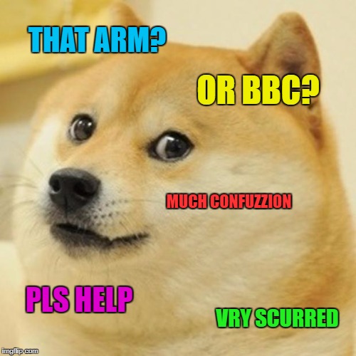 Doge Meme | THAT ARM? OR BBC? MUCH CONFUZZION PLS HELP VRY SCURRED | image tagged in memes,doge | made w/ Imgflip meme maker