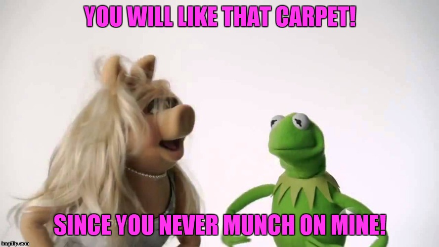 YOU WILL LIKE THAT CARPET! SINCE YOU NEVER MUNCH ON MINE! | made w/ Imgflip meme maker