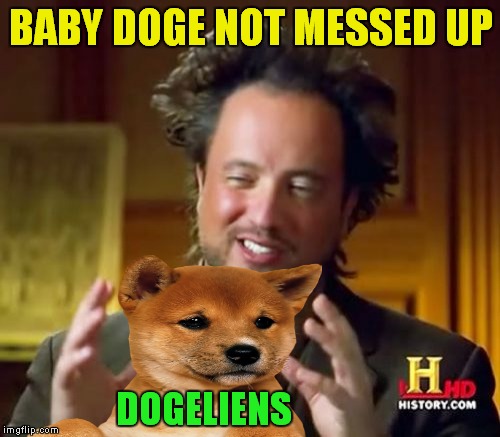 BABY DOGE NOT MESSED UP DOGELIENS | made w/ Imgflip meme maker