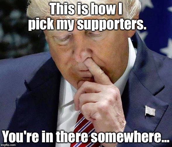 Picking nose | This is how I pick my supporters. You're in there somewhere... | image tagged in donald trump | made w/ Imgflip meme maker