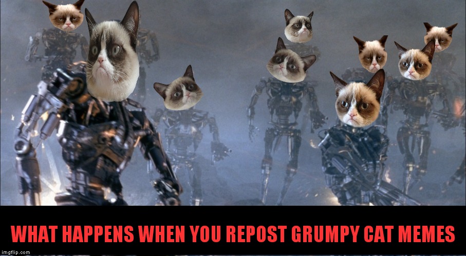 WHAT HAPPENS WHEN YOU REPOST GRUMPY CAT MEMES | made w/ Imgflip meme maker