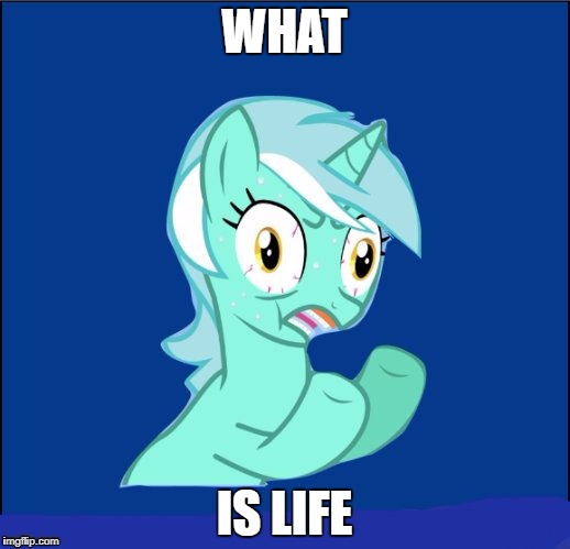 y u no MLP | WHAT; IS LIFE | image tagged in y u no mlp | made w/ Imgflip meme maker