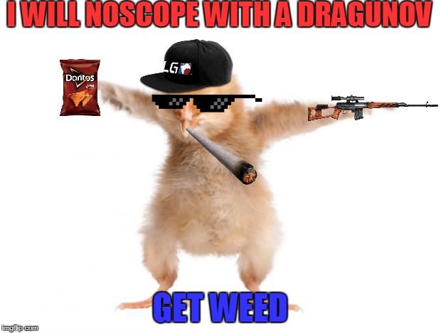 N0Sc0P3.weed | I WILL NOSCOPE WITH A DRAGUNOV; GET WEED | image tagged in mlg,mlg doge,doritos | made w/ Imgflip meme maker