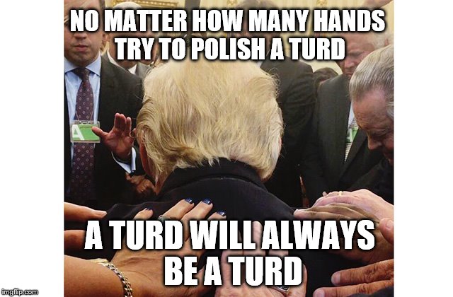 NO MATTER HOW MANY HANDS TRY TO POLISH A TURD; A TURD WILL ALWAYS BE A TURD | image tagged in hands trump | made w/ Imgflip meme maker